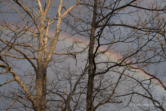 Lincolnville Rainbow